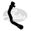 GATES 3938 Radiator Hose